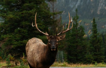 Wild Northern Journey10