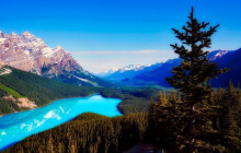 Wild Northern Journey10