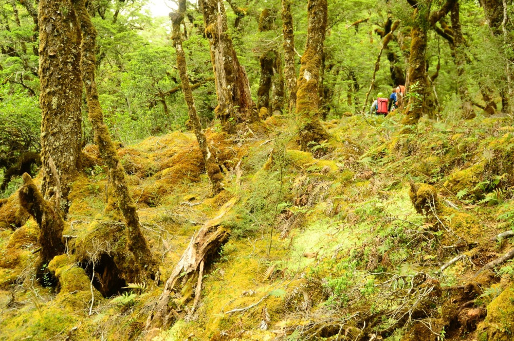 Aspiring XXL Full Day Canyoning Adventure