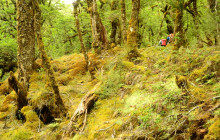 Canyoning New Zealand1