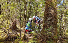 Canyoning New Zealand8