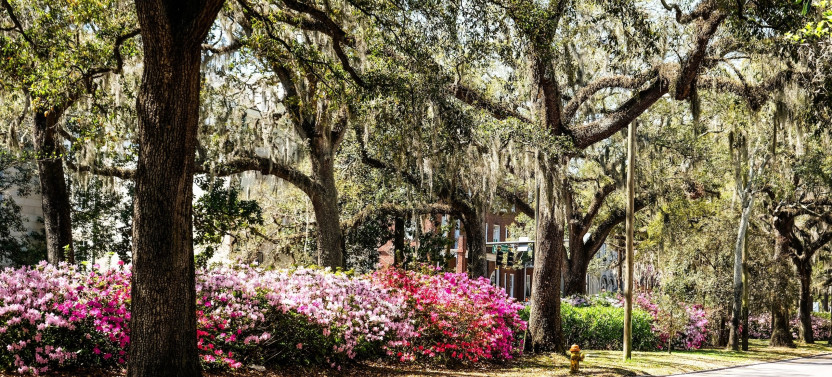 Savannah After Dark: A Haunted Donut & Sweet Treats Walking Tour