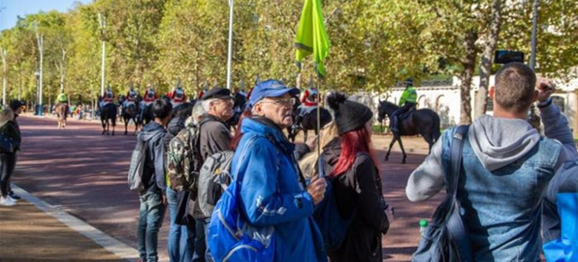 Royal London Tour Including Buckingham Palace & Changing Of The Guard