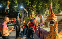 Discova Day Tours and Activities8