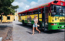 Irie Tours Bus Trips4