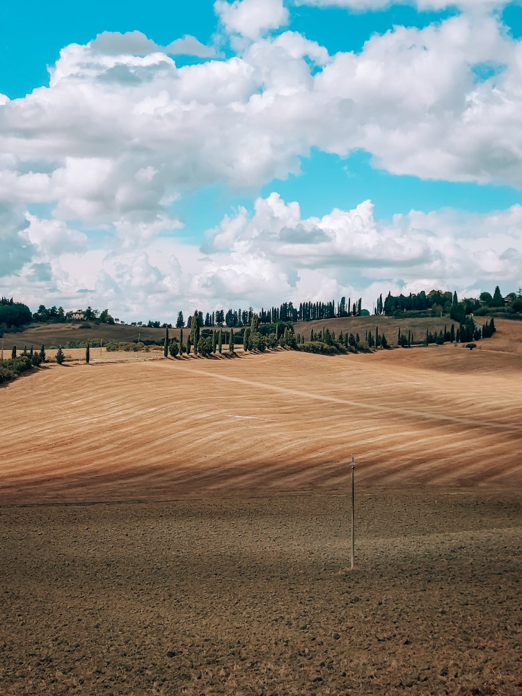500 Vintage Tour, Food and Wine Tour in Chianti For Small Groups