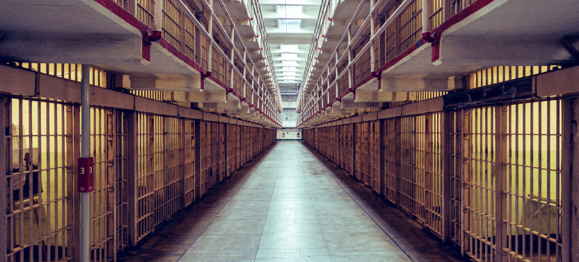 San Francisco Combo Alcatraz & Muir Woods Tour
