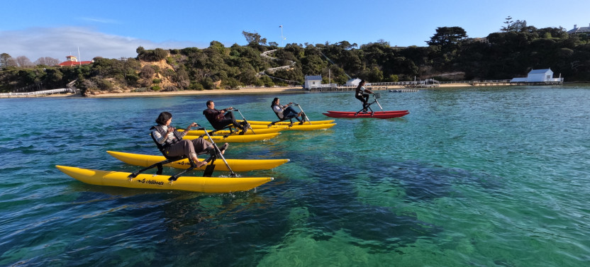 Sorrento Guided Waterbike Tour & Potential Dolphin Sightings