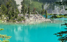 Bearly There Tours1