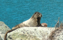 Bearly There Tours21