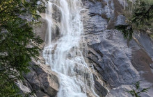 Bearly There Tours15