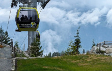 Bearly There Tours23
