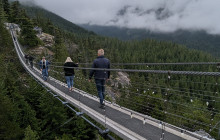 Bearly There Tours31