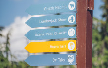 Bearly There Tours6