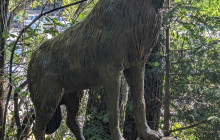 Bearly There Tours23