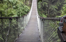 Bearly There Tours46