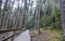 Bearly There Tours48