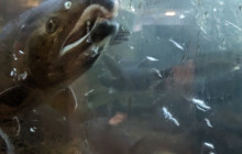 Bearly There Tours57