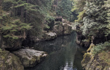 Bearly There Tours58