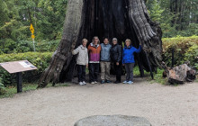 Bearly There Tours67