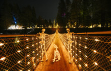 Bearly There Tours3
