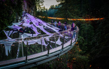 Bearly There Tours11