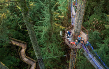 Bearly There Tours16