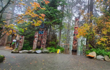 Bearly There Tours18