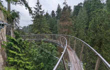 Bearly There Tours9