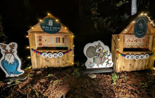 Bearly There Tours24