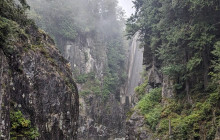 Bearly There Tours34