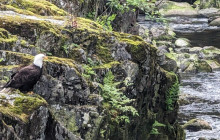 Bearly There Tours39