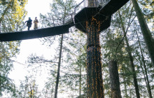 Bearly There Tours40