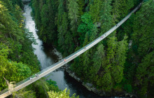 Bearly There Tours43