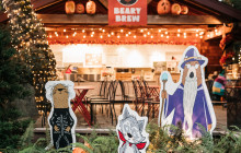 Bearly There Tours61