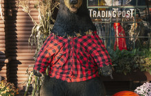 Bearly There Tours72