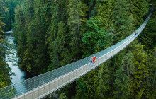 Bearly There Tours2