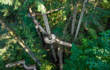 Bearly There Tours3