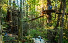 Bearly There Tours7