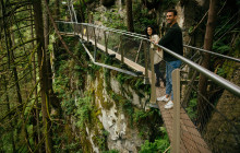 Bearly There Tours10