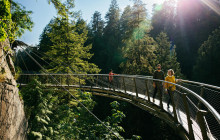 Bearly There Tours30