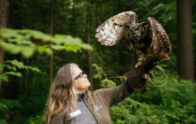 Bearly There Tours13
