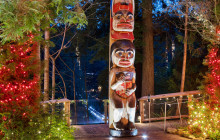Bearly There Tours14