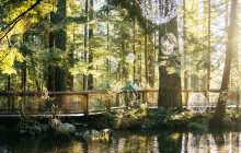 Bearly There Tours40