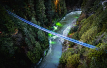 Bearly There Tours48