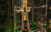 Bearly There Tours56