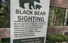 Bearly There Tours62