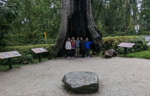 Bearly There Tours78