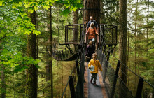 Bearly There Tours83
