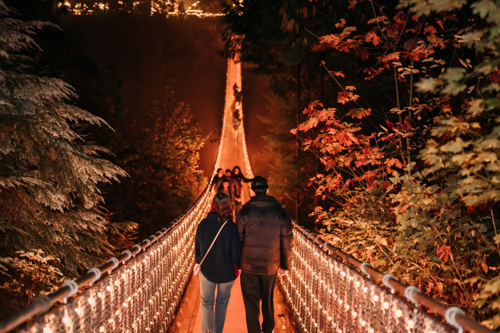 Private Sightseeing Capilano Suspension Bridge & Granville Island Tour